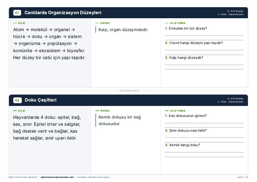 Organizasyon önizleme
