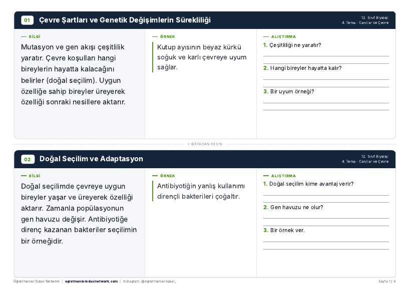 Canlılar ve Çevre önizleme