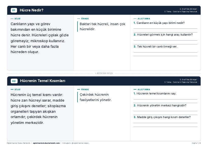 Canlıların Yapısına Yolculuk önizleme