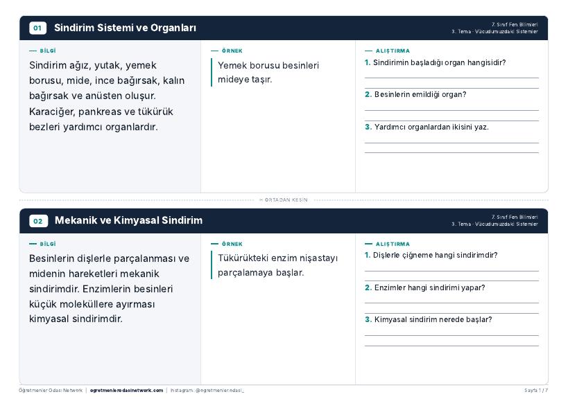 Vücudumuzdaki Sistemler önizleme