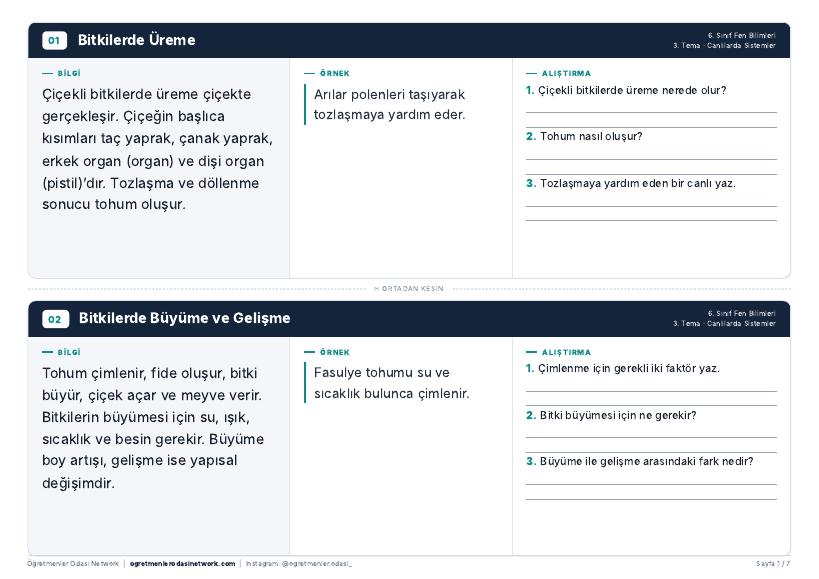 Canlılarda Sistemler önizleme